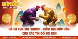 đá gà cựa sắt WIN88