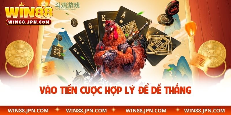 Vào tiền cược hợp lý để dễ thắng
